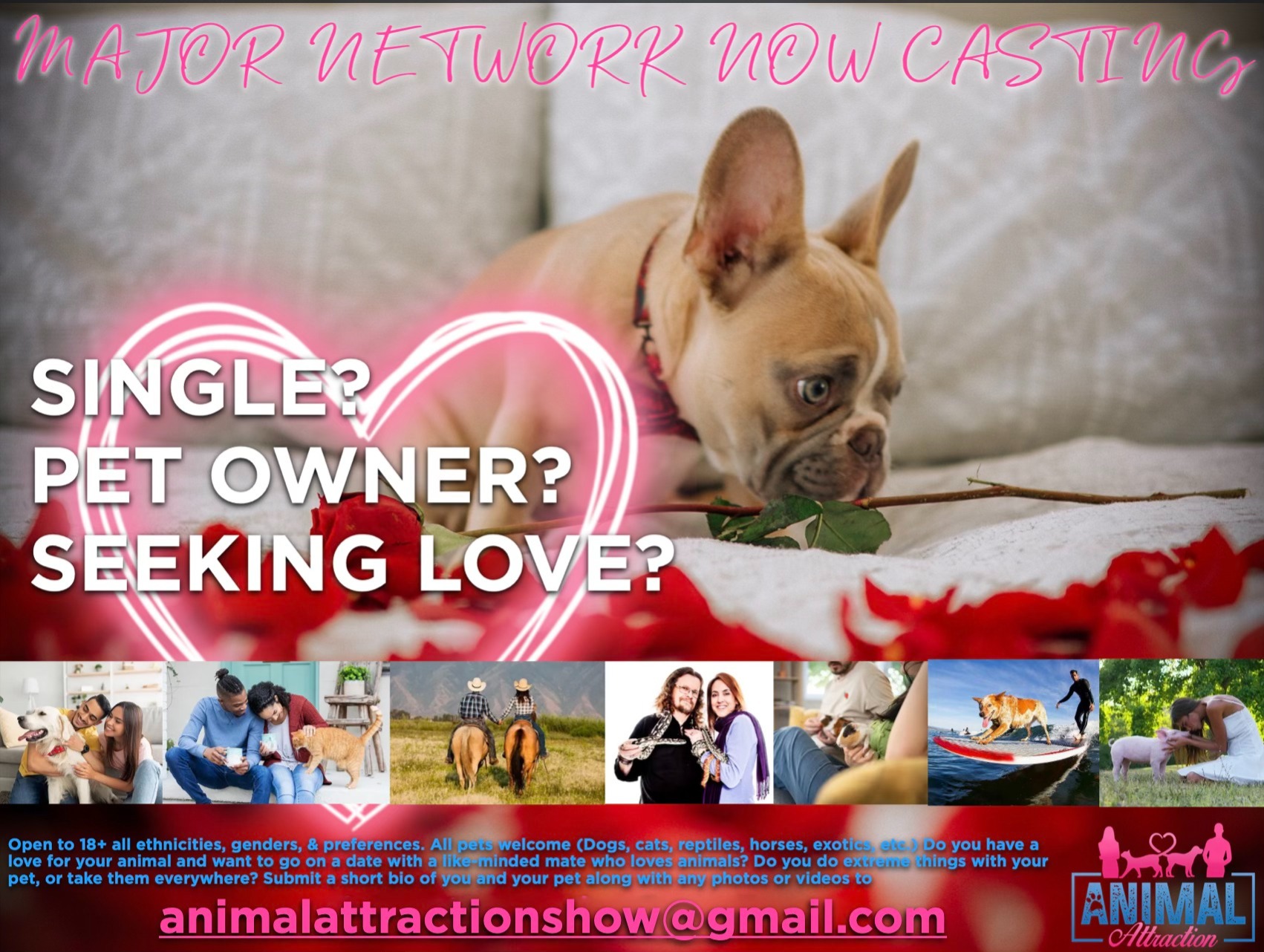 Single? Pet Owner? Seeking Love?